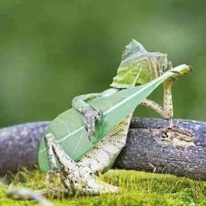 Meet your Posher, Brenda